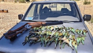 Koruma altındaki arı kuşlarını avlayan 2 şahsa rekor ceza