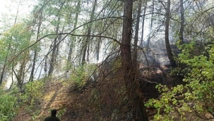 Kumluca'da orman yangını büyümeden söndürüldü