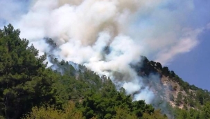 Kumluca'da orman yangını çıktı! 