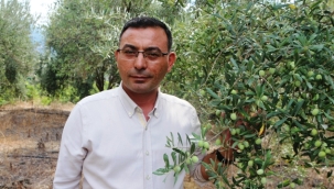 Tahir Göktepe zeytin üreticilerini uyardı