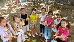 Alanya'da can dostları unutmadılar