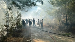 Alanya'da orman yangını çıktı ekiplerin müdahalesi sürüyor