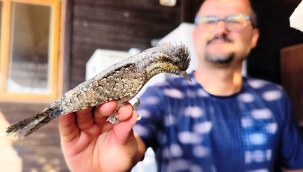 ALKÜ öncülüğünde Kıbrıs'ın ilk kuş halkalama istasyonu kuruldu