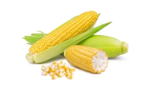 Bakanlık açıkladı: Mısır ithalatında tarife kontenjanı uygulanacak