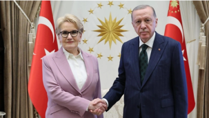 Cumhurbaşkanı Erdoğan, Meral Akşener'e yönelik dava ve şikayetlerini geri çekti