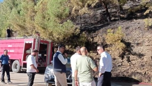 Kaymakam Ürkmezer yangın bölgesinde incelemelerde bulundu