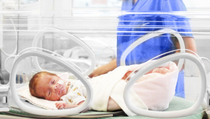 Organizasyon şeması ortaya çıktı: Yenidoğan bebek çetesinde kim, kimdir? Çete nasıl çalıştı?