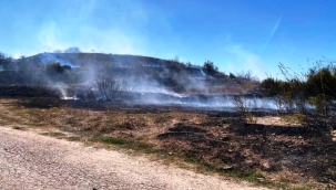 Parkta çıkan yangın makilik alana sıçradı