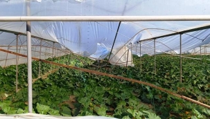 1 yıl arayla serayı 3 kez hortum vurdu