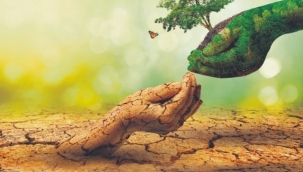 "2024 İklim Durumu Güncellemesi" raporu yayımlandı