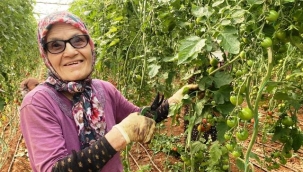 75 yaşındaki kadın azmiyle hayran bırakıyor