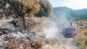 Alanya'da merada çıkan yangın kontrol altına alındı