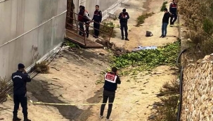 Alanya'da muz serasında halat koptu: 2 ölü, 2 yaralı