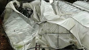 Alanya'da şiddetli rüzgar seraları yıkıp geçti! Üreticiler yardım bekliyor