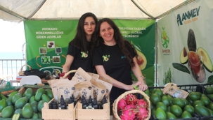 Alanya Tropikal Meyve Festivali'nde ANMEY Global Tarım rüzgarı esti
