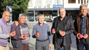 Antalyalı üretici Trump seçimi kazanınca ejder meyvesi ve turp dağıttı