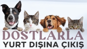 Hayvan dostlarla yurt dışına çıkmak zor değil