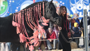 Ürgüp'te 'at güzellik yarışması' yapıldı