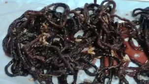 Yasadışı gece kelebeği avına rekor ceza