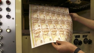 Yeni 5 ve 50 TL'lik banknotlar tedavüle çıktı