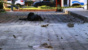 20 gün önce boşandığı karısını benzin dökerek yaktı