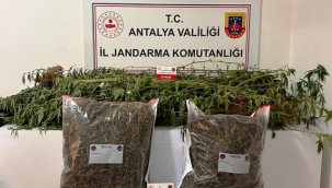 Alanya'da 33 kilo uyuşturucu ele geçirildi, 14 şahıs tutuklandı