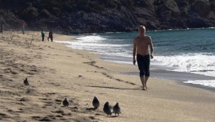 Alanya'da aralık ayında deniz keyfi sürüyor