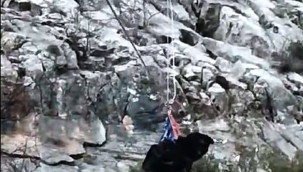 Alanya'da kayalıklarda mahsur kalan 2 köpek kurtarıldı