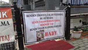 Alanya'da köpek için sahibinden pankartlı tepki