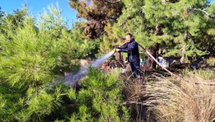 Alanya'da mezarlıkta yangın çıktı