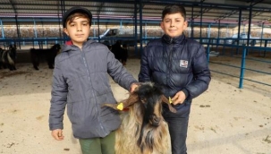 Alanya kurban pazarı açıldı
