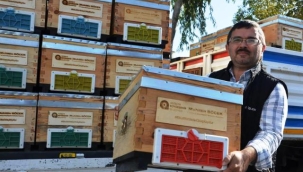 Alanyalı bal üreticilerine arı kovanı hibe edildi