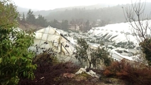 Alanyalı üreticilere ait seralar hortumda yerle bir oldu 