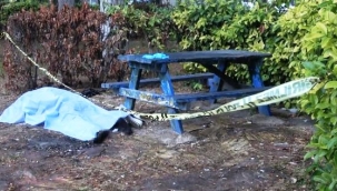 Mobilya ustası parkta ölü bulundu 