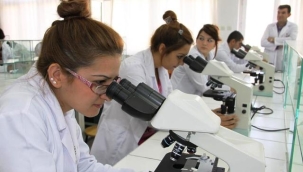 Türkiye'nin doktoralı mezun sayısı artıyor