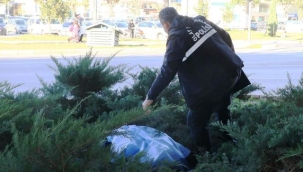 Üst geçidin altında ölü bulundu