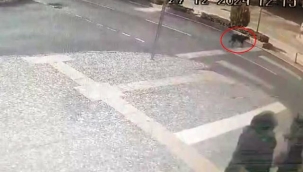 Yaya geçidinden geçen köpeğe otomobil çarptı