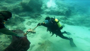 5 yılda denizlerden rekor miktarda çöp çıkarıldı