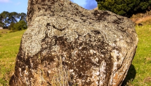 Alanya'da kayaya çarpan otomobil sürücüsü hastanelik oldu