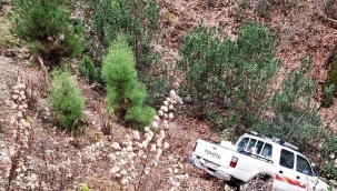 Alanya'da kontrolden çıkan kamyonet şarampole düştü