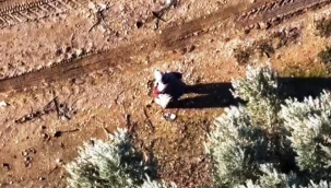 Kaybolan Alzheimer hastası yaşlı kadın termal kameralı dron ile bulundu