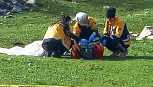 Köpeklerin saldırısında hayatını kaybetmişti, sanığa verilen ceza belli odu