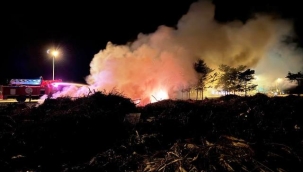 Sahildeki atık yangını işletmeyi dumana boğdu