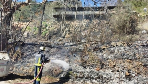 Alanya'da ormanlık alanda çıkan yangını itfaiye söndürdü