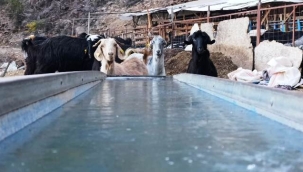 Alanya gece saatlerinde adeta buz tuttu