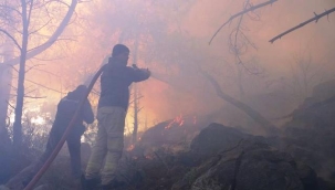 Antalya'da kopan yüksek gerilim hattı orman yangınına neden oldu