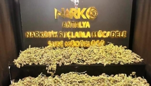 Antalya'da son 1 haftada 26 kilo uyuşturucu madde ele geçirildi