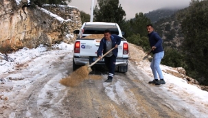 BŞB ekiplerinden Alanya'da buz tutan yollara müdahale