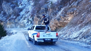 Büyükşehir ekipleri Alanya kırsalında tuzlama çalışması yaptı