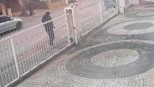 Cins kedisi kaybolan kadın kamerayı izleyince şoke oldu